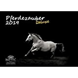 Cavalli magia Deluxe · DIN A3 · PREMIUM Calendario 2019 · · cavallo equitazione · puledro · · Stallone cavalla · Set ...