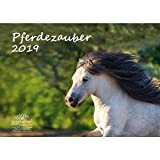 Cavalli magia · DIN A3 · PREMIUM Calendario 2019 · · cavallo equitazione · puledro · · Stallone cavalla · Set Regalo ...
