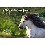 Cavalli magia · DIN A4 Calendario 2019 · · · equitazione · puledro · · Stallone cavalla · Set Regalo per cavalli ...