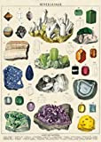 Cavallini & Co - Poster Vintage/Poster della Scuola - Minerali