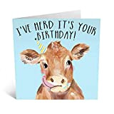 Central 23 – Biglietto di compleanno per lei – “Herd It's Your Birthday” – Animale Buon compleanno per lui, divertente ...