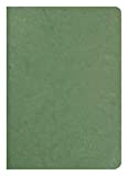 Clairefontaine 733103 C – Blocco interno liscio, 96 pagine, colore: verde