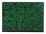 Clairefontaine 93243C - Cartella portadisegni Annonay chiusura ad elastico 37x52 cm, Verde