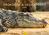 Coccodrilli & alligatori Premium Calendario 2023 DIN A4 Calendario da parete coccodrillo rettili animali in tutto il mondo zoo predatore ...