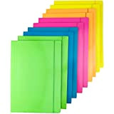 D.RECT Pack of 10 (2 pieces per colour 5 x 2) Fluo Portfolio Folder Made of Cardboard | Folder with ...