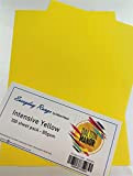 DALTON MANOR, confezione da 100 fogli in formato A4, 80 g/m², di colore giallo intenso