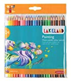 Darwent Lakeland Painting Confezione da 24 Matite Colorate Idrosolubili