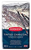 Derwent Tinted Charcoal Set di 12 Matite Colorate Acquerellabili a Carboncino per Disegnare e Scrivere, Ideali per le Sfumature, Qualità ...