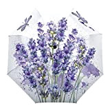 DFGHJK Ombrelli automatici personalizzati bianchi lavanda fiore viola libellula for donna uomo