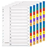 DUDSOEHO - Fogli divisori per raccoglitori formato A4, 12 pezzi, confezione da 5 divisori per raccoglitori, in Mylar colorato, per ...