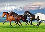 Edition Seidel - Calendario 2021, formato DIN A3, motivo: cavalli