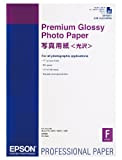 Epson C13S042091 Premium Glossy Carta fotografica Inkjet 255g / m2 A2, Pacco con 25 fogli