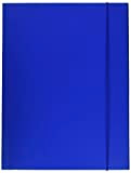 ESSELTE C41 LINEAR, Cartella a 3 Lembi in Prespan, con Elastico, Formato 25 x 35 cm, Blu, 390341050