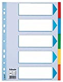 Esselte Divisori per Raccoglitori con 5 Tasti, Formato A4, Blu/Multicolore, Cartoncino Robusto Riciclato, 5 Tasti con Pagina Indice, 100191