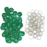 Etichette in plastica con numero identificativo inciso con anelli per chiave (verde, 1-300)
