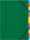 Exacompta 54123E Classificatori con Punti Metallici, 24x32 cm, Verde