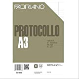 Fabriano 02210566 Fogli Protocollo Standard, Rigato a 31, 2 Margini, 66 G/MQ, Confezione 200
