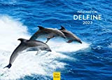 Faszination Delfine Premium Calendario 2023 DIN A3 da parete con delfini, balene, spiaggia, acqua
