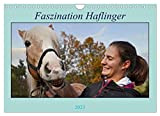 Faszination Haflinger (Wandkalender 2023 DIN A4 quer), Calvendo Monatskalender