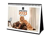 Finocam - Calendario 2023 Immagini da tavolo per scrivere Gennaio 2023 - Dicembre 2023 (12 mesi) Cani e gatti Spagnolo