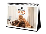 Finocam - Calendario 2023 Immagini da tavolo per scrivere gennaio 2023 - dicembre 2023 (12 mesi) Cani e gatti catalani