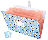 Floral Printed Expanding File Folder with 6 Pockets Accordion Document File Organizer (Blue)