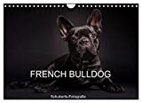 French Bulldog (Wandkalender 2023 DIN A4 quer), Calvendo Monatskalender