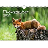 Fuchzauber - Calendario DIN A4 per volpe e volpi 2023 - Seelenzauber, multicolore