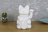 Gift Republic - Lampada a forma di gatto, colore: Bianco