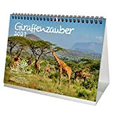 Giraffenzauber, calendario da tavolo, formato DIN A5, per giraffe 2023
