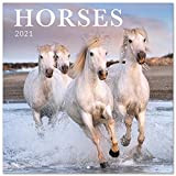 Grupo Erik Calendario 2021 da Muro Horses, calendario cavalli 2021, 16 mesi, 30x30 cm