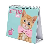 Grupo Erik Calendario da Tavolo 2022 Studio Pets Cats - Calendario da scrivania 2022 - Calendario gatti 2022 │ Calendario ...