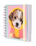 Grupo Erik: Diario Scuola 2022 2023 Studio Pets Dogs, diario scolastico giornaliero 11 mesi, 16x14cm, ideale come diario cagnolini, diario ...