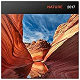 Grupo Erik Editores Nature – Calendario 2017, 30 x 30 cm