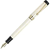 Gullor 100 Collection - Penna stilografica in resina acrilica, pennino medio, con confezione regalo, motivo nero avorio