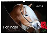 Haflinger-Pferde in Reinzucht (Wandkalender 2023 DIN A3 quer), Calvendo Monatskalender