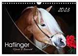 Haflinger-Pferde in Reinzucht (Wandkalender 2023 DIN A4 quer), Calvendo Monatskalender