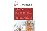 Hahnemühle 10628983 - Blocco di acquerelli, calligrafia, certificati e cartoline, 300 g, 12 fogli
