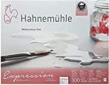 Hahnemühle - Cartone per acquerelli Expression, 100% cotone, opaco, 300 g/m2, 24 x 30 cm, 20 fogli, made in Germany