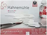Hahnemühle Expression - Cartoncino per acquerelli, 100% cotone, finitura opaca, 300 g/m², 30 x 40 cm, 20 fogli, Made in ...