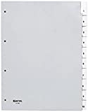 HETZEL Kunststoff-Register, blanko, A4, PP, 10-teilig, grau