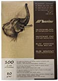 Honsell Blocco da Disegno, 80 g/m², Formato DIN A3, 100 Fogli, Carta Riciclata 100% Ecologica, con Superficie Ruvida, per disegnare ...