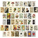 jiuzcare Cartolina Set 50 pezzi Cartoline di Alta Qualità Arte Collage da Parete Senza Testo Cartoline Vintage Vuote con Motivi ...