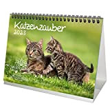 Katzenzauber - Calendario da tavolo DIN A5, per gatti e gatti 2023, set regalo, 1 calendario, 1 biglietto di Natale ...