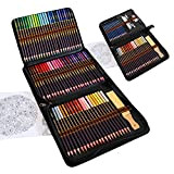 Kit Disegno Completo 96 pezzi - Principianti o Professionisti, Astuccio da 72 matite colorate, 12 Matite da disegno e Accessori, ...