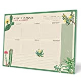 Kokonote: Planning da Tavolo A3 Botanical Cacti in inglese | Planner settimanale 29,7x42cm con 54 fogli a strappo, perfetto come ...