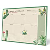 Kokonote: Planning da Tavolo A3 Botanical Cacti in italiano | Planner settimanale 29,7x42cm con 54 fogli a strappo, perfetto come ...