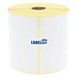 Labelident Etichette per spedizioni DHL, Hermes, UPS, DPD, GLS, Fedex – 100 x 150 mm – 500 etichette termiche senza ...