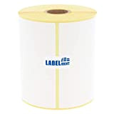 Labelident Etichette per spedizioni DHL, Hermes, UPS, DPD, GLS, Fedex – 100 x 200 mm – 250 etichette termiche senza ...