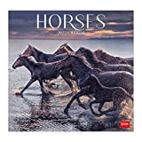 Legami Calendario Parete, 30x29 cm, 2023, Tema Horses, 12 mesi e 1 Planner annuale, 6 Lingue, Griglia Segni Zodiacali e ...